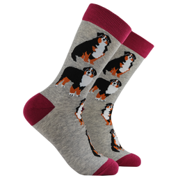 Bernese Mountain Dog Socks - Feel The Bern