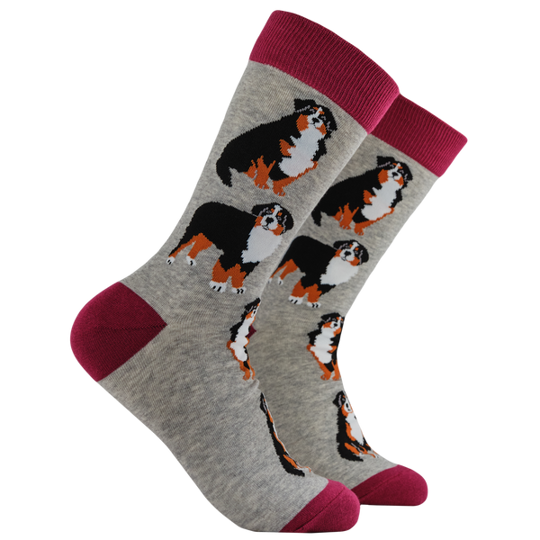 Bernese Mountain Dog Socks - Feel The Bern