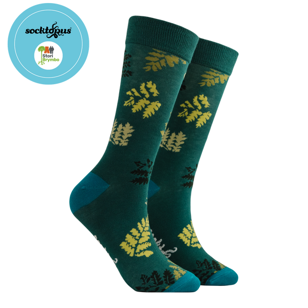 Karinopteris Socks - Stori Brymbo