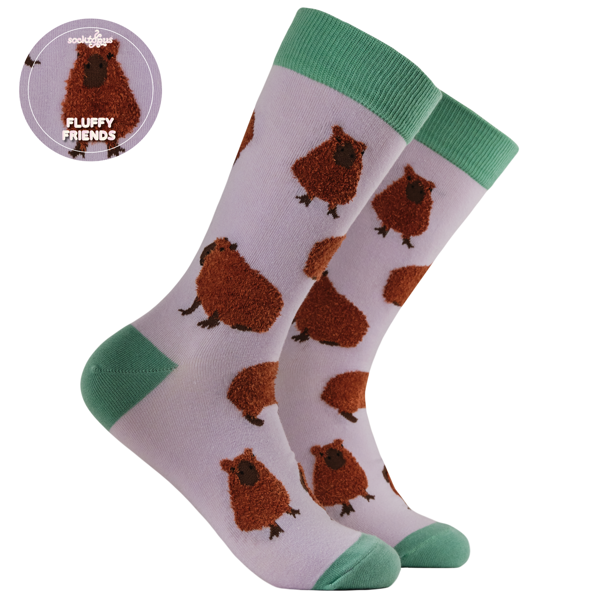 Fluffy Capybara Socks