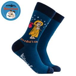 It's a Dog's Life Socks - Wallace and Gromit
