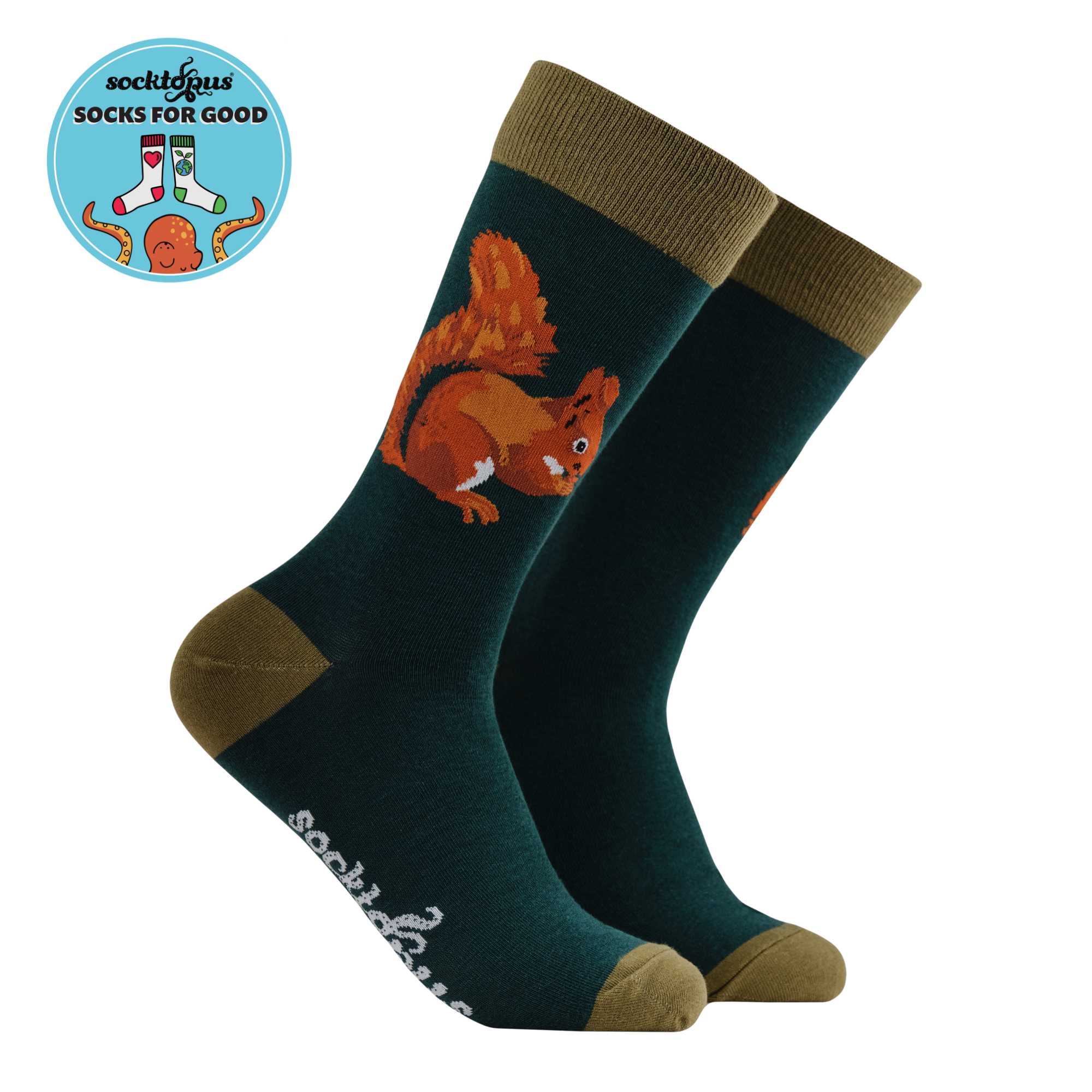 Squirrel Socks - Robert E Fuller
