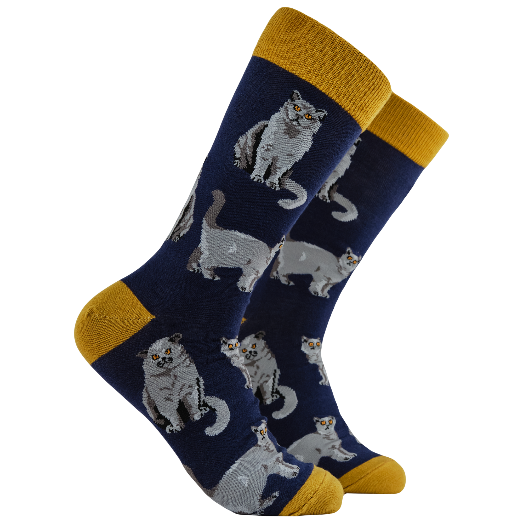 British Shorthair Cat Socks - Short Hair Don't Care