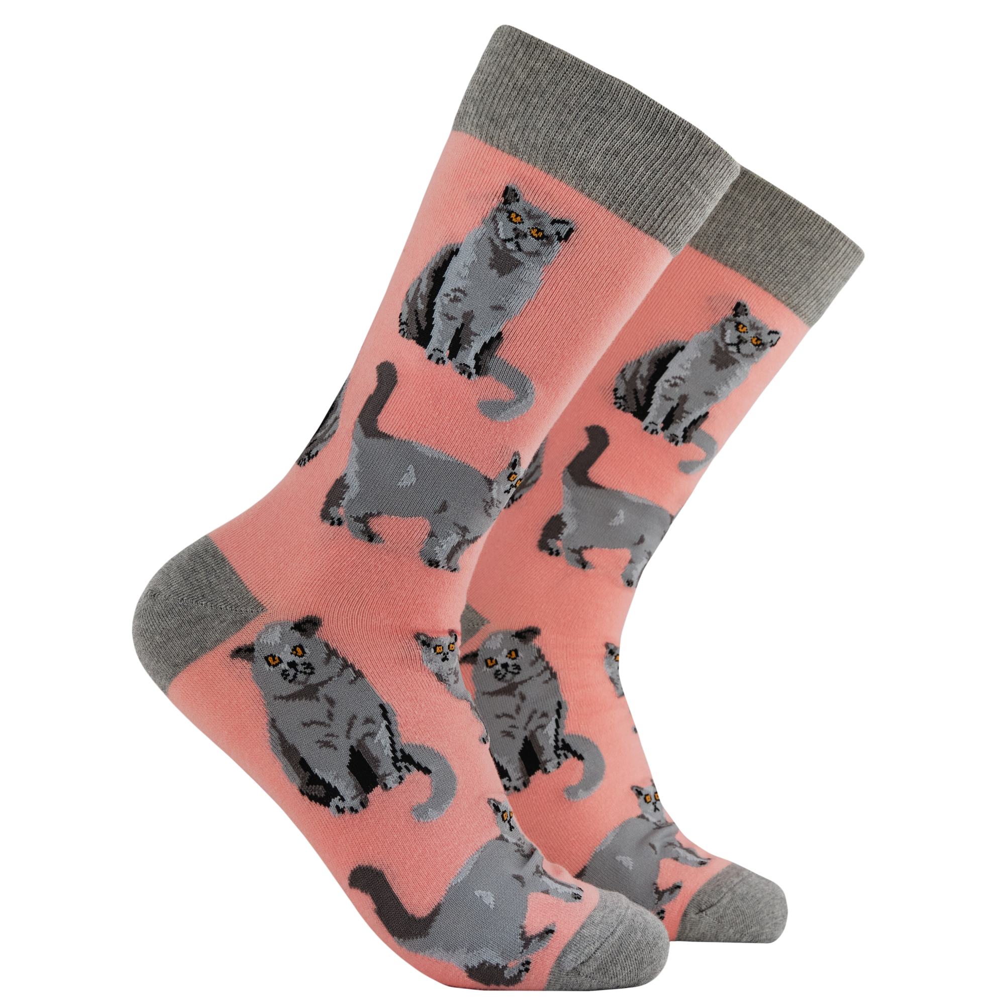 British Shorthair Cat Socks - Short Hair Don't Care