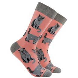 British Shorthair Cat Socks - Short Hair Don't Care