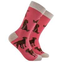 Chocolate Spaniel Socks - Span au Chocolat