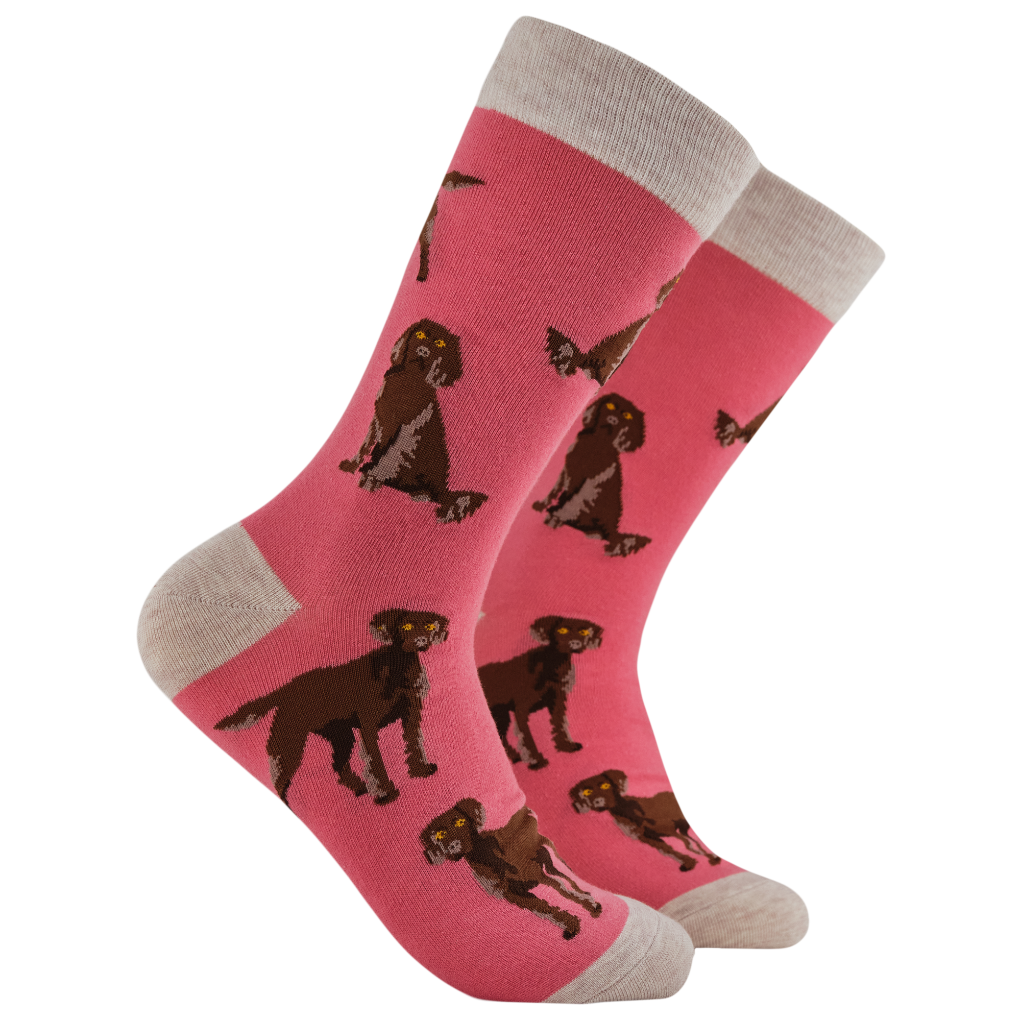 Chocolate Spaniel Socks - Span au Chocolat