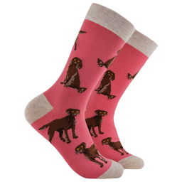 Chocolate Spaniel Socks - Span au Chocolat