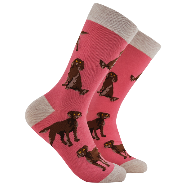Chocolate Spaniel Socks - Span au Chocolat