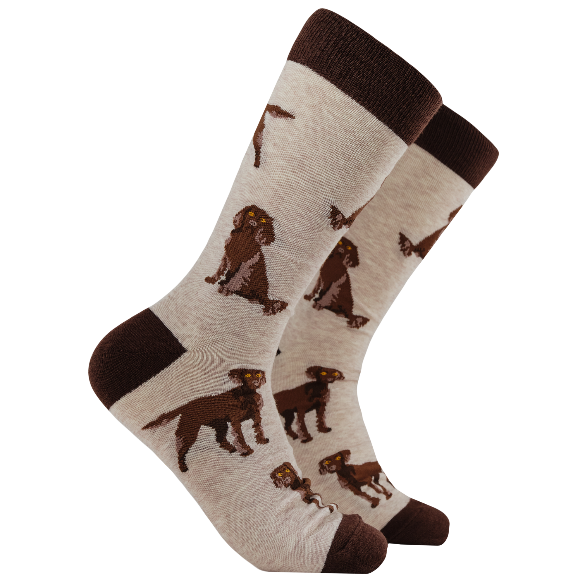 Chocolate Spaniel Socks - Span au Chocolat