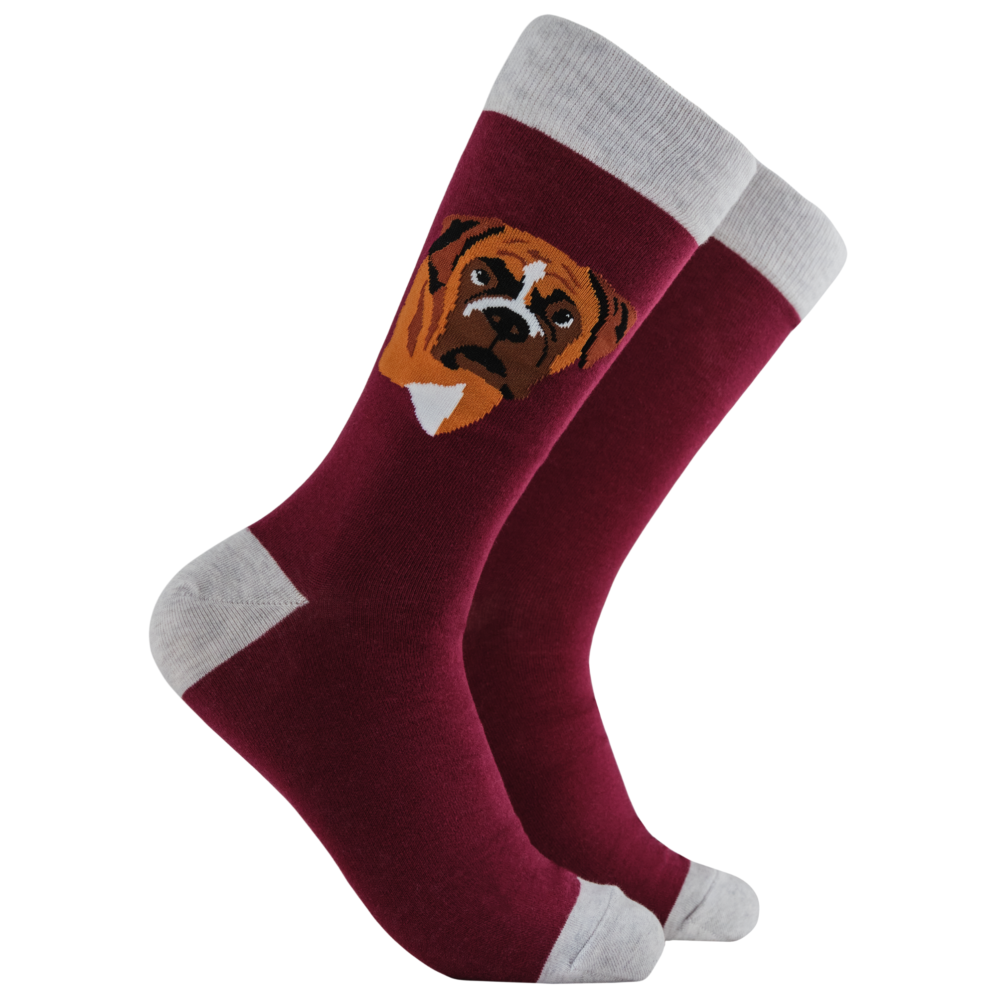 Boxer Dog Socks - Think Outside The Boxer