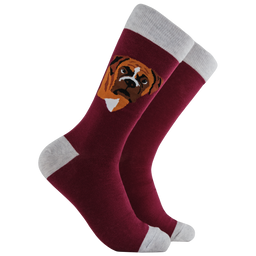 Boxer Dog Socks - Think Outside The Boxer