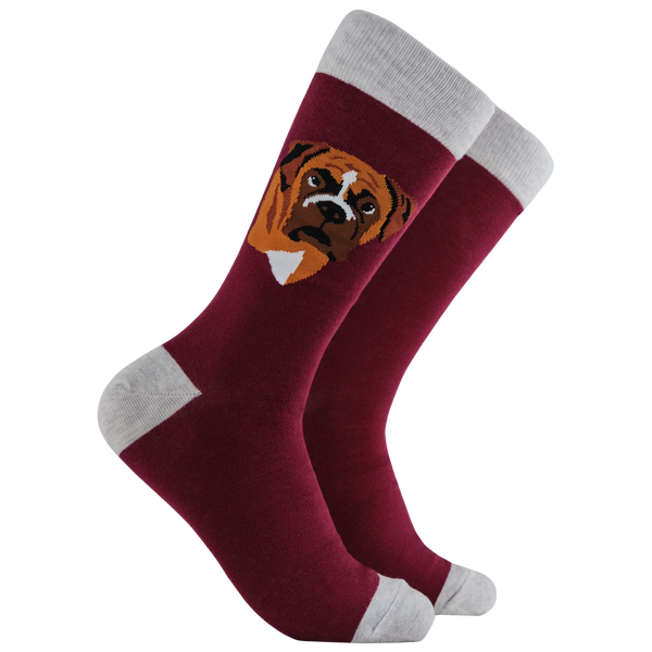 Boxer Dog Socks - Think Outside The Boxer