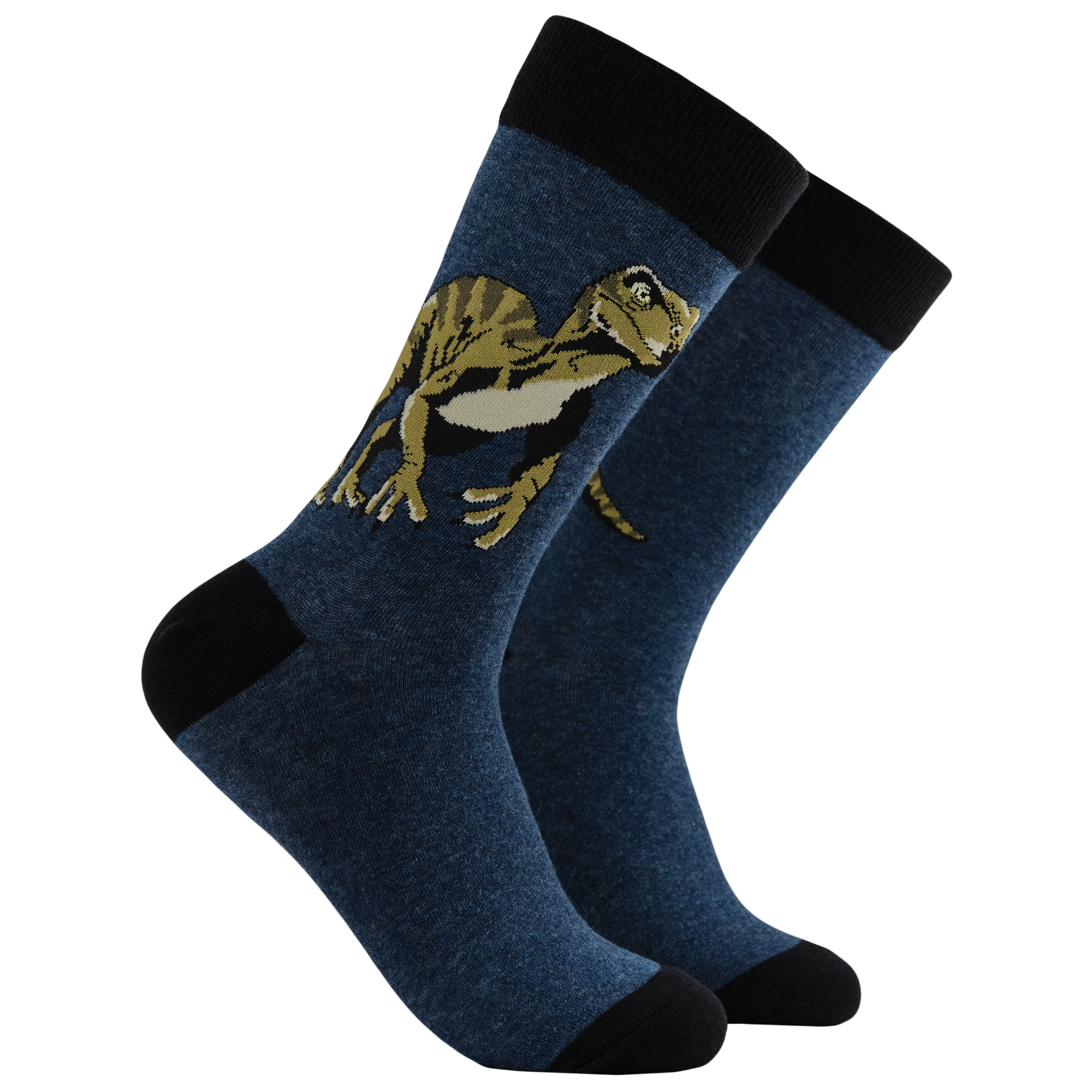 Dino-Claws Socks