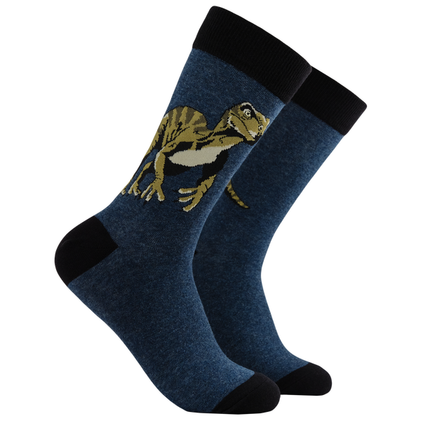 Dino-Claws Socks