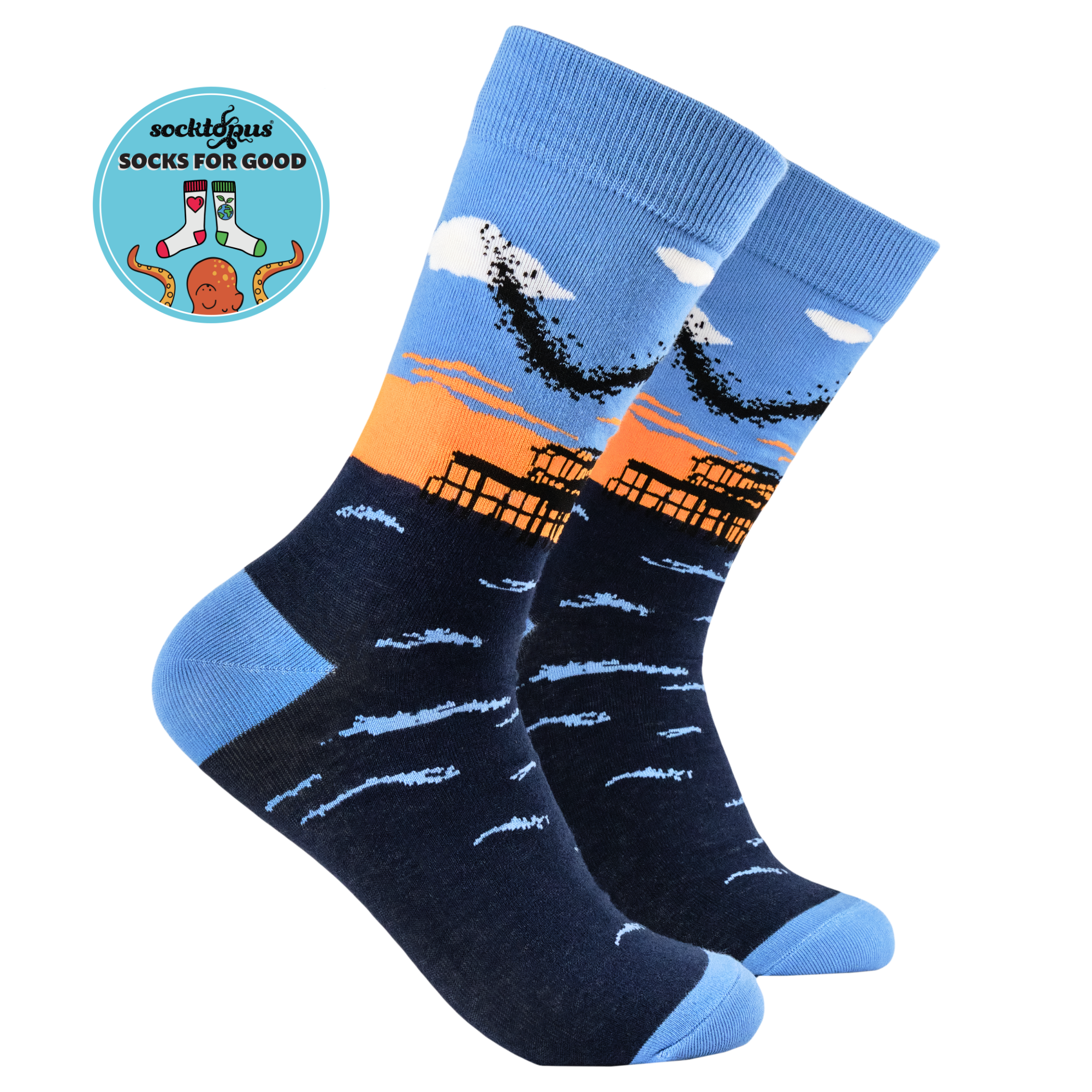 Murmurations Socks - Together Co Collaboration