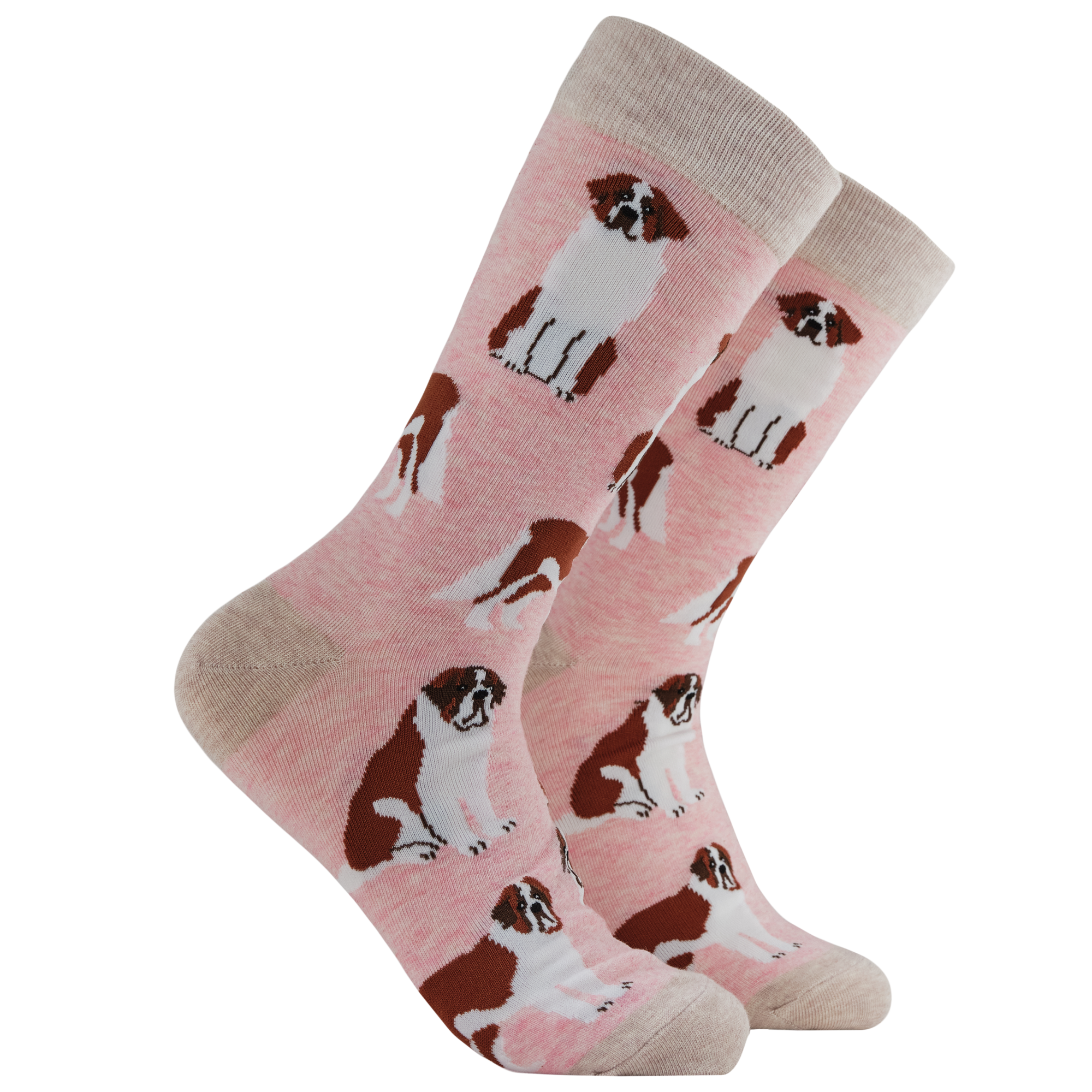 Saint Bernard Dog Socks - Oh When The Saints!