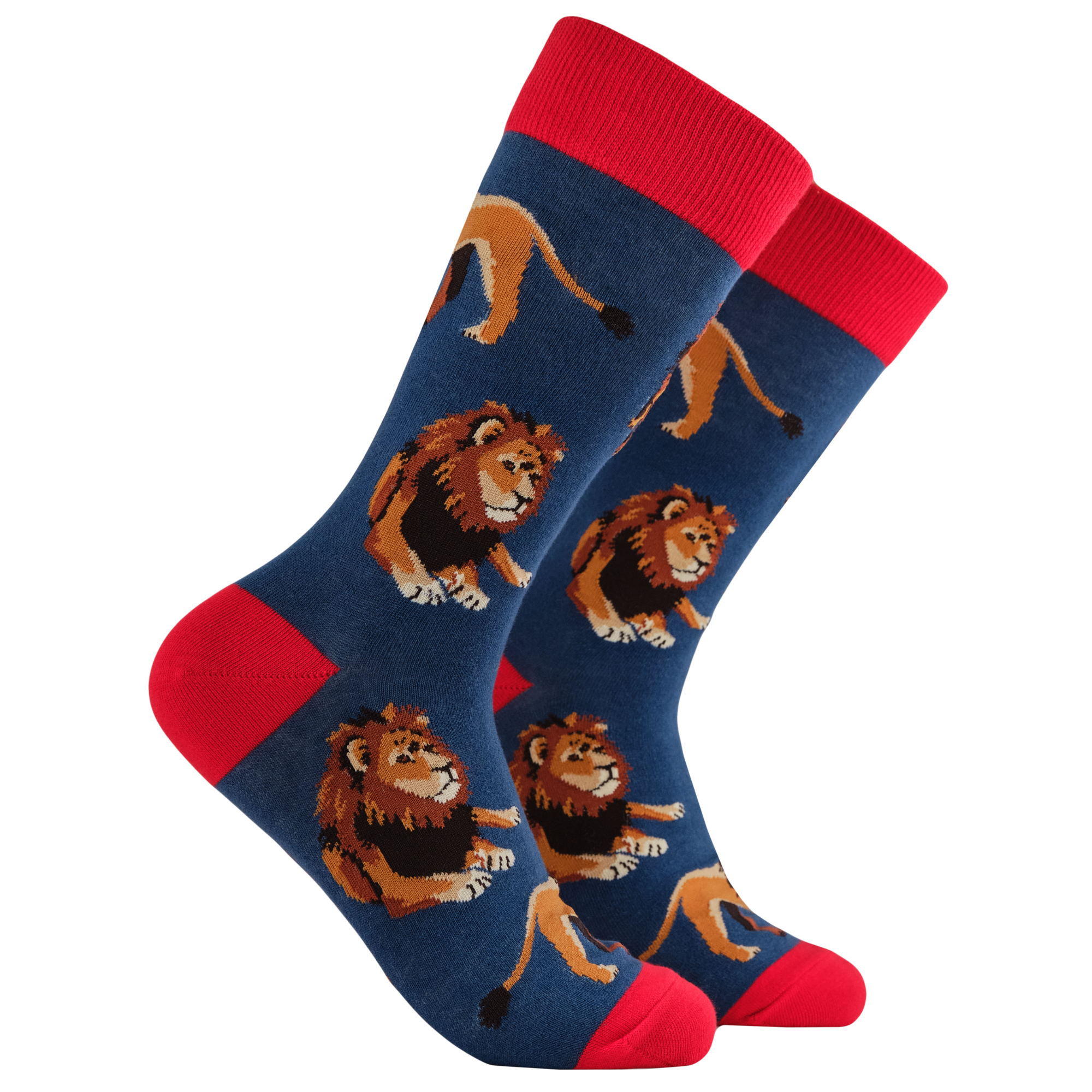 Lion Socks - Pride Of Place