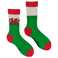 Welsh Flag Socks