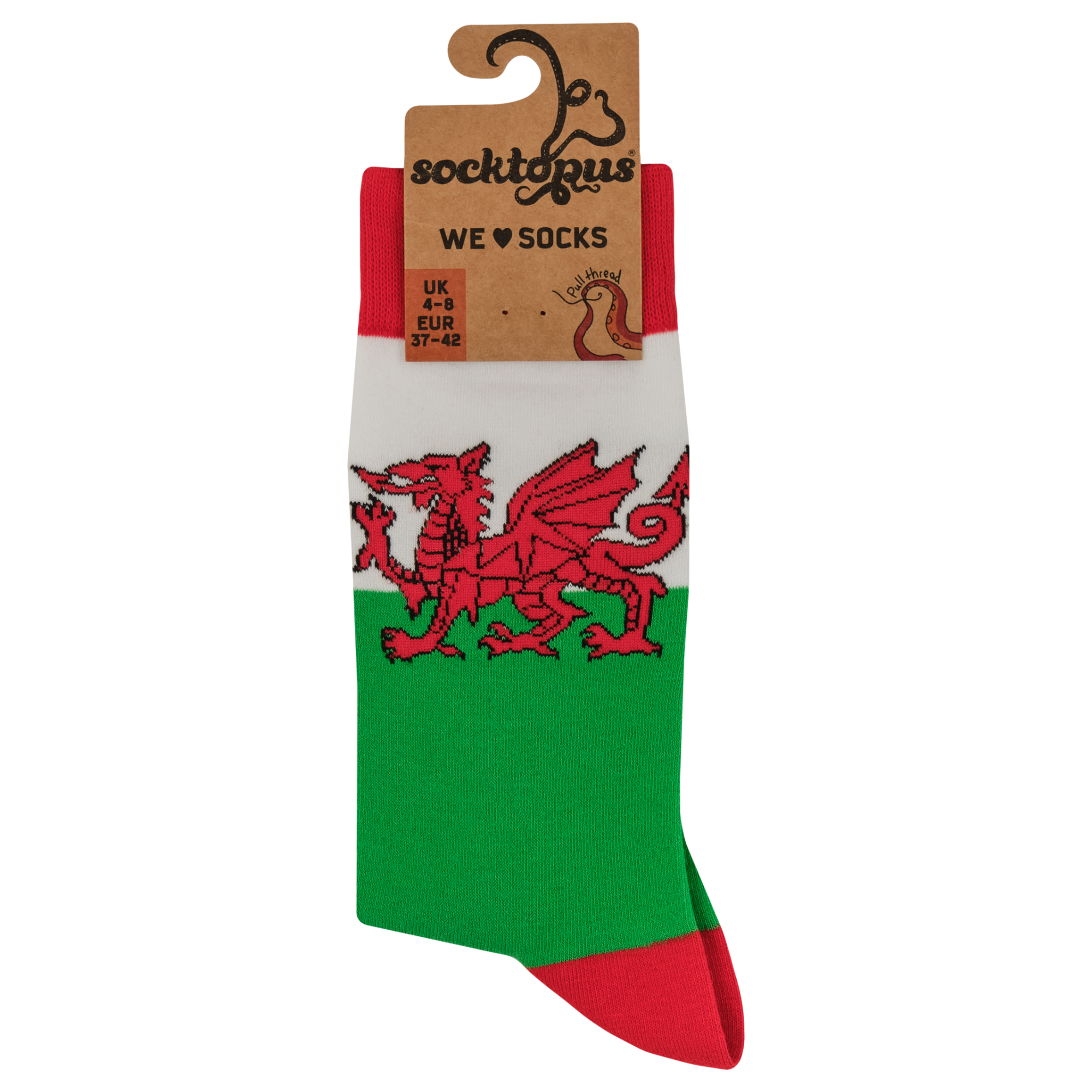 Welsh Flag Socks