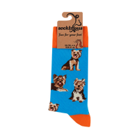 Yorkshire Terrier Socks - Yorkies