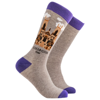 York Minster Socks