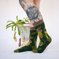 Pitcher Plant Socks