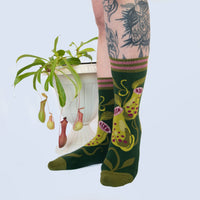 Pitcher Plant Socks