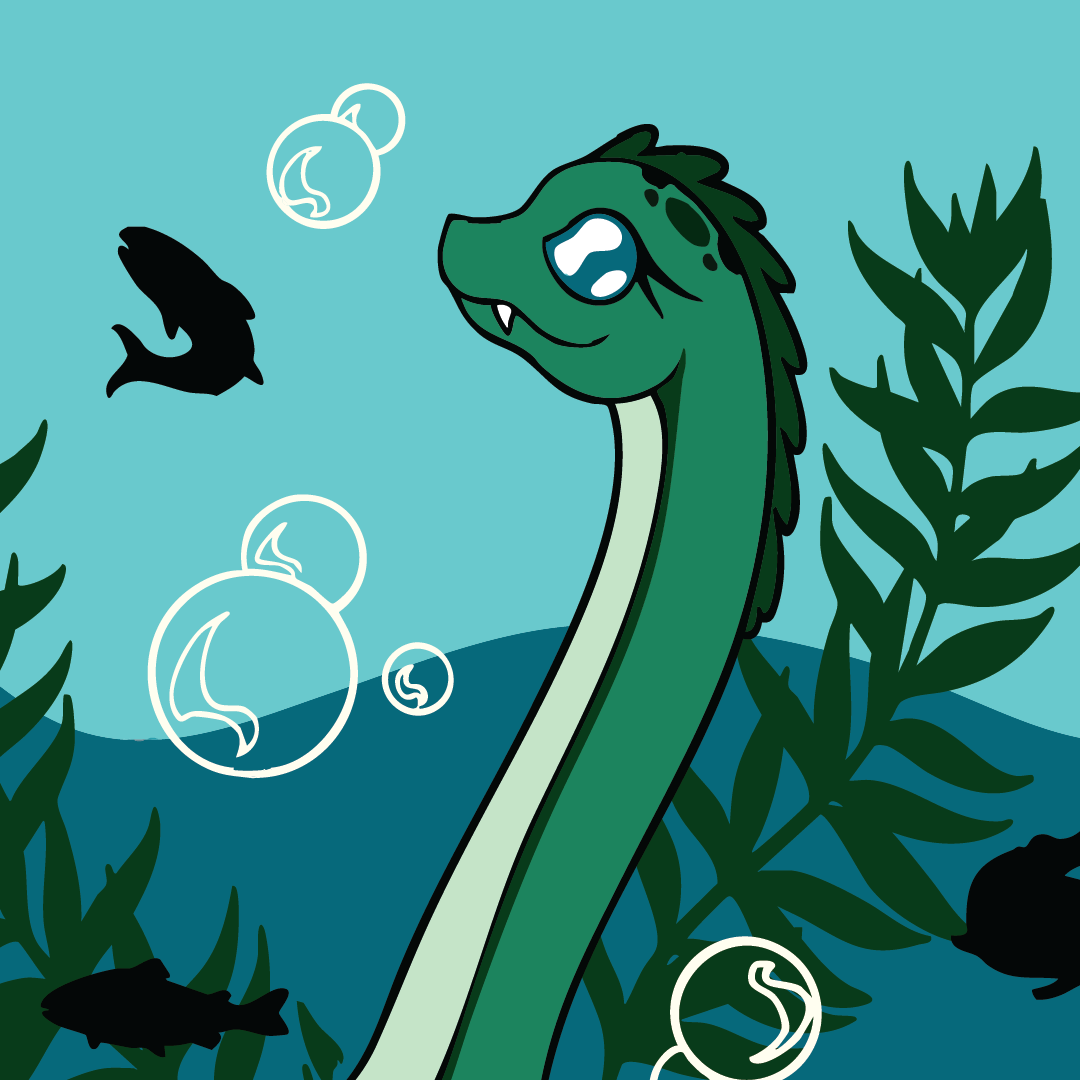 Cute Nessie Socks