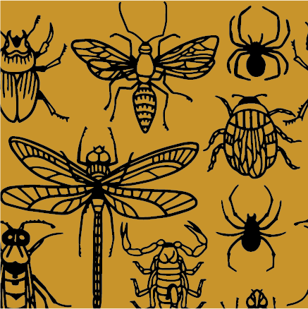 Creepy Crawlies Socks