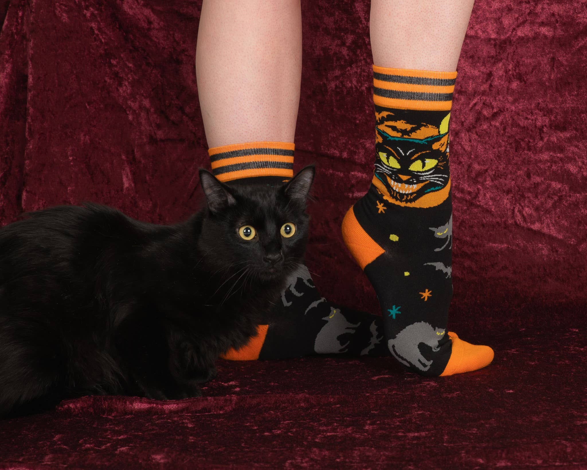 Vintage Black Cat Socks