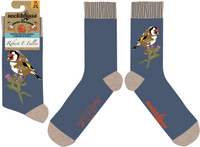 Goldfinch Socks - Robert E Fuller