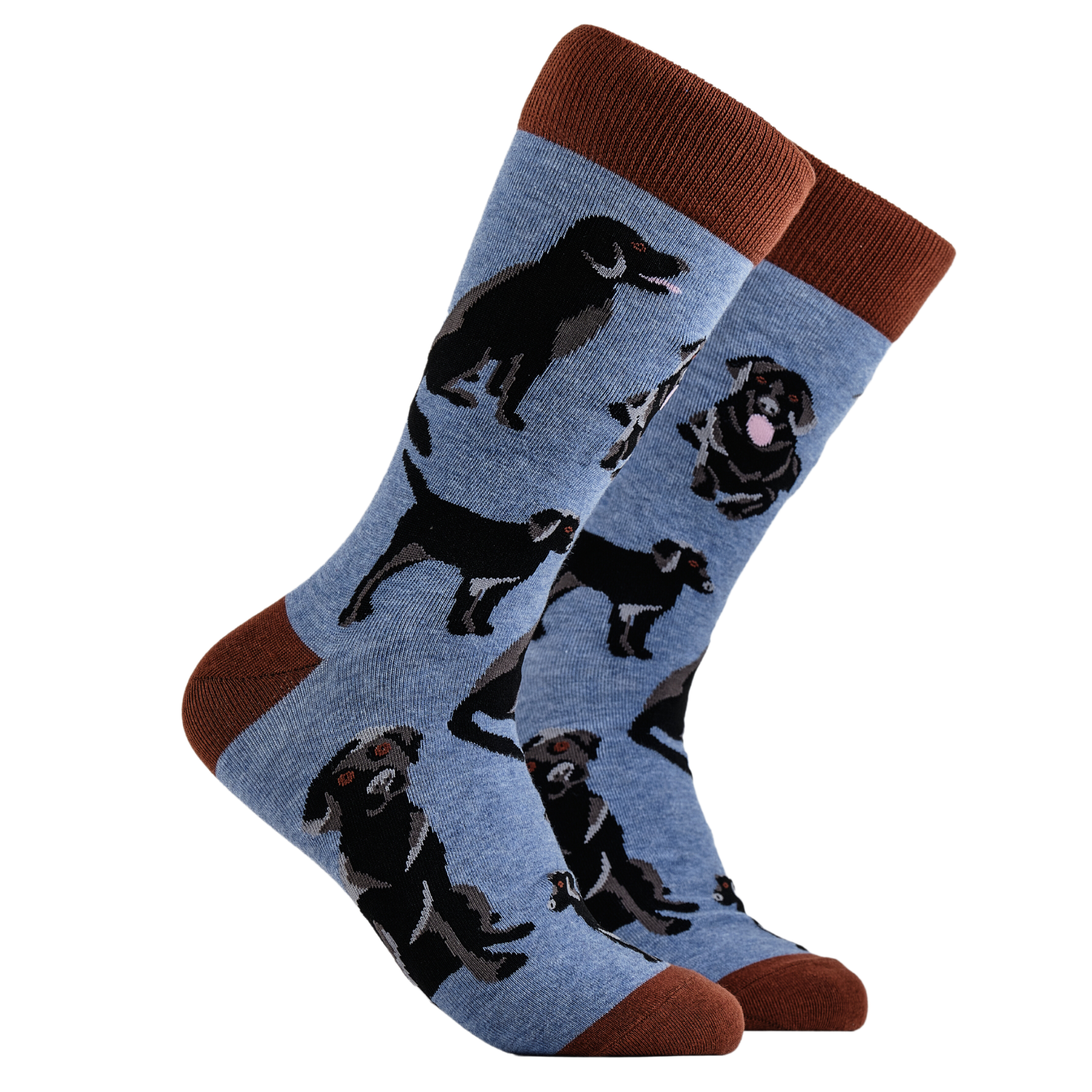 Labrador Socks - Black Lab