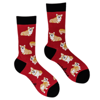 Corgis Socks