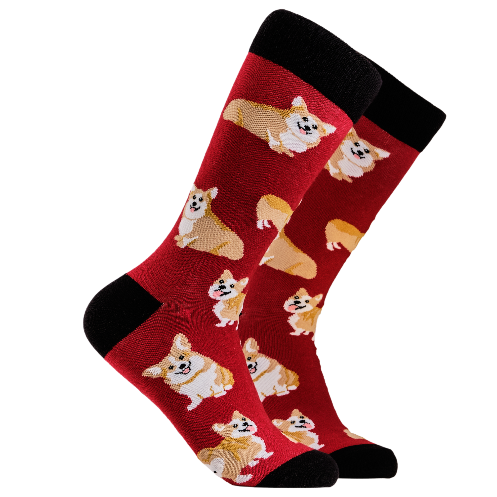 Corgis Socks