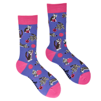Cats and Wool Socks