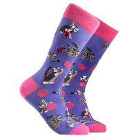 Cats and Wool Socks