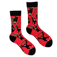 Chimpanzees Socks