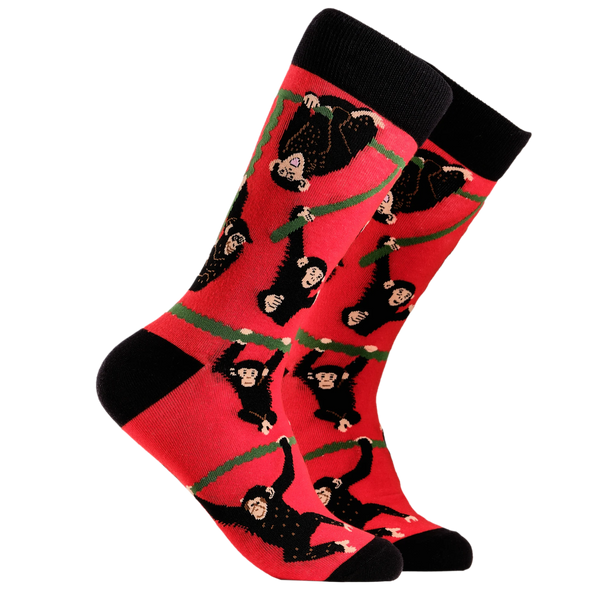 Chimpanzees Socks