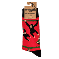 Chimpanzees Socks