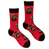 Labrador Socks - Choc Lab