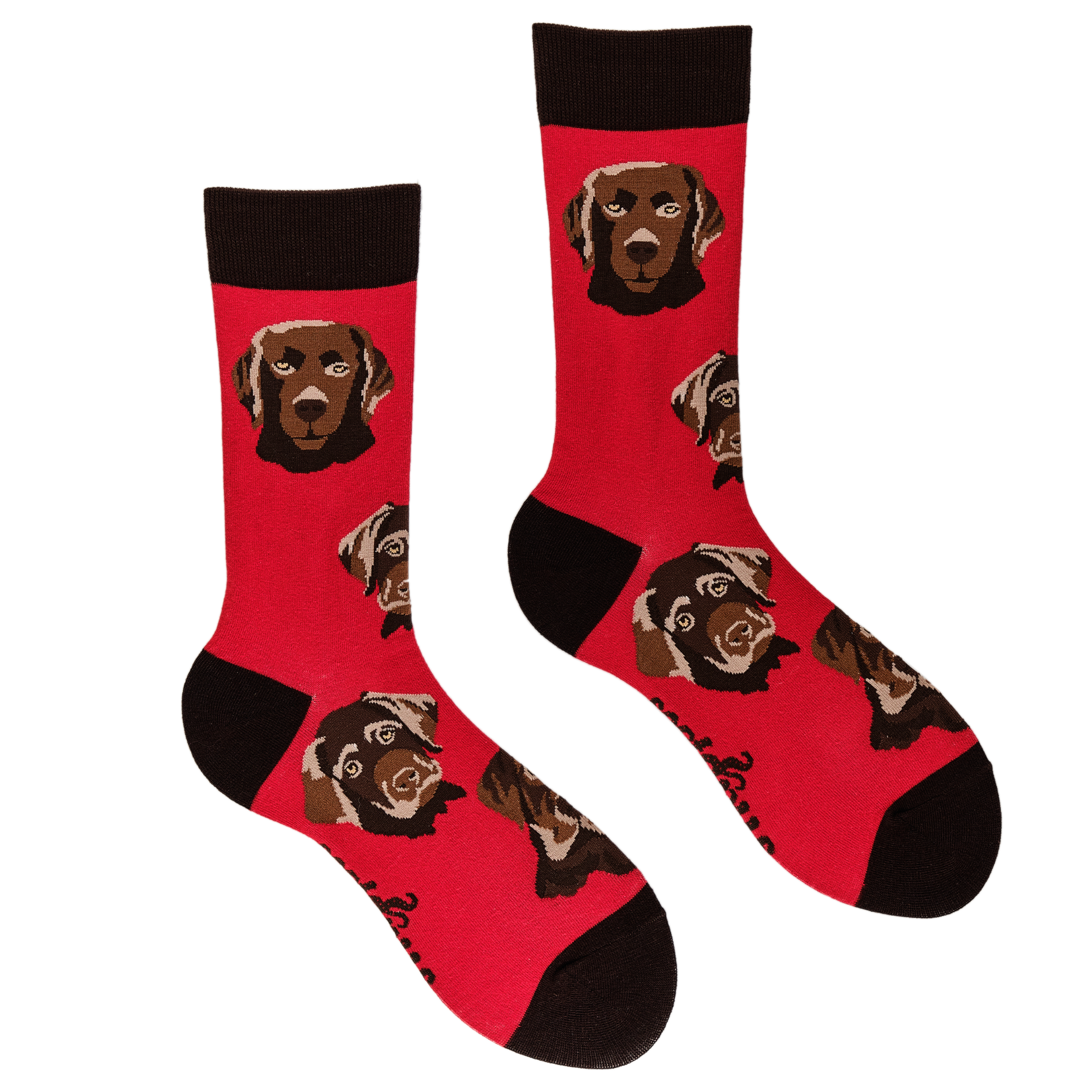 Labrador Socks - Choc Lab