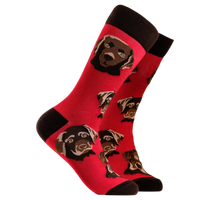 Labrador Socks - Choc Lab