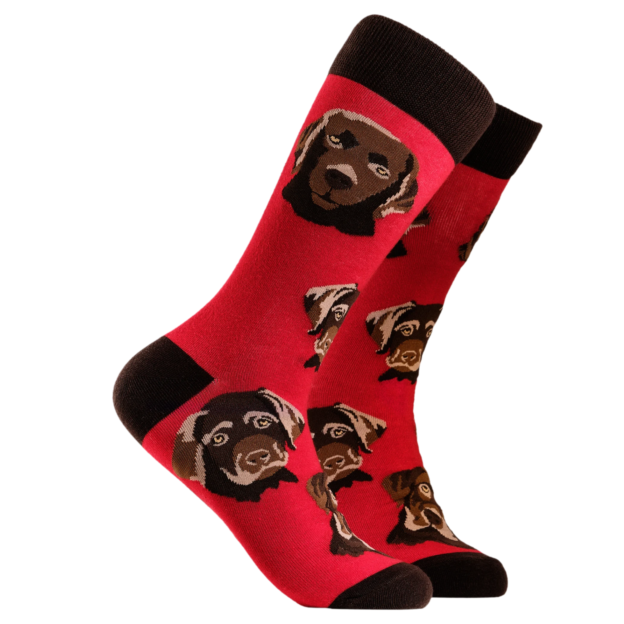 Labrador Socks - Choc Lab