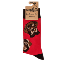 Labrador Socks - Choc Lab