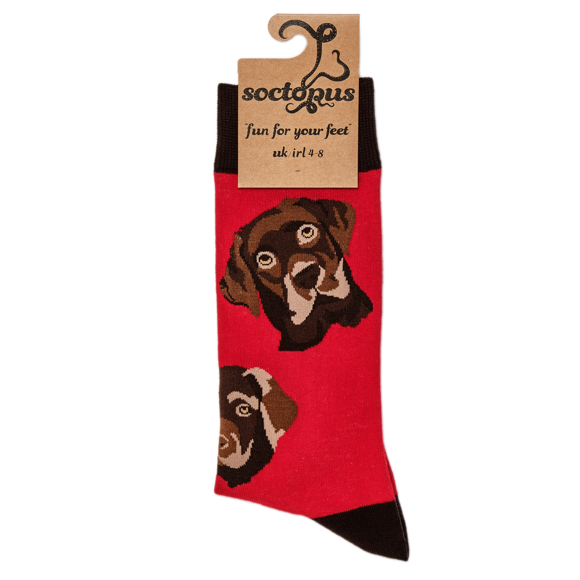Labrador Socks - Choc Lab