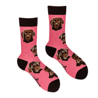 Labrador Socks - Choc Lab