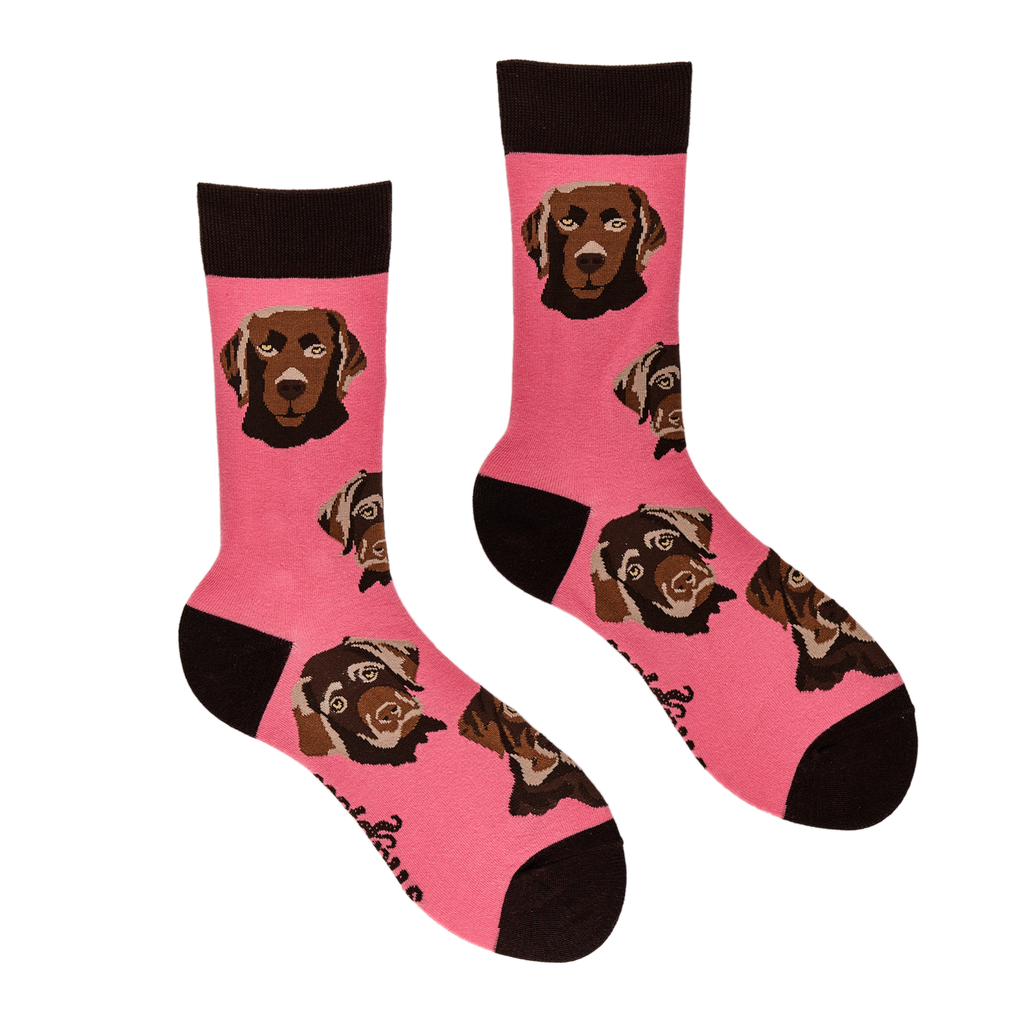 Labrador Socks - Choc Lab