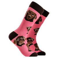Labrador Socks - Choc Lab