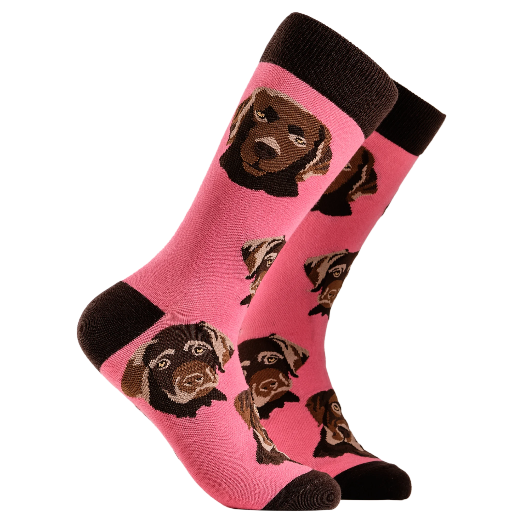 Labrador Socks - Choc Lab